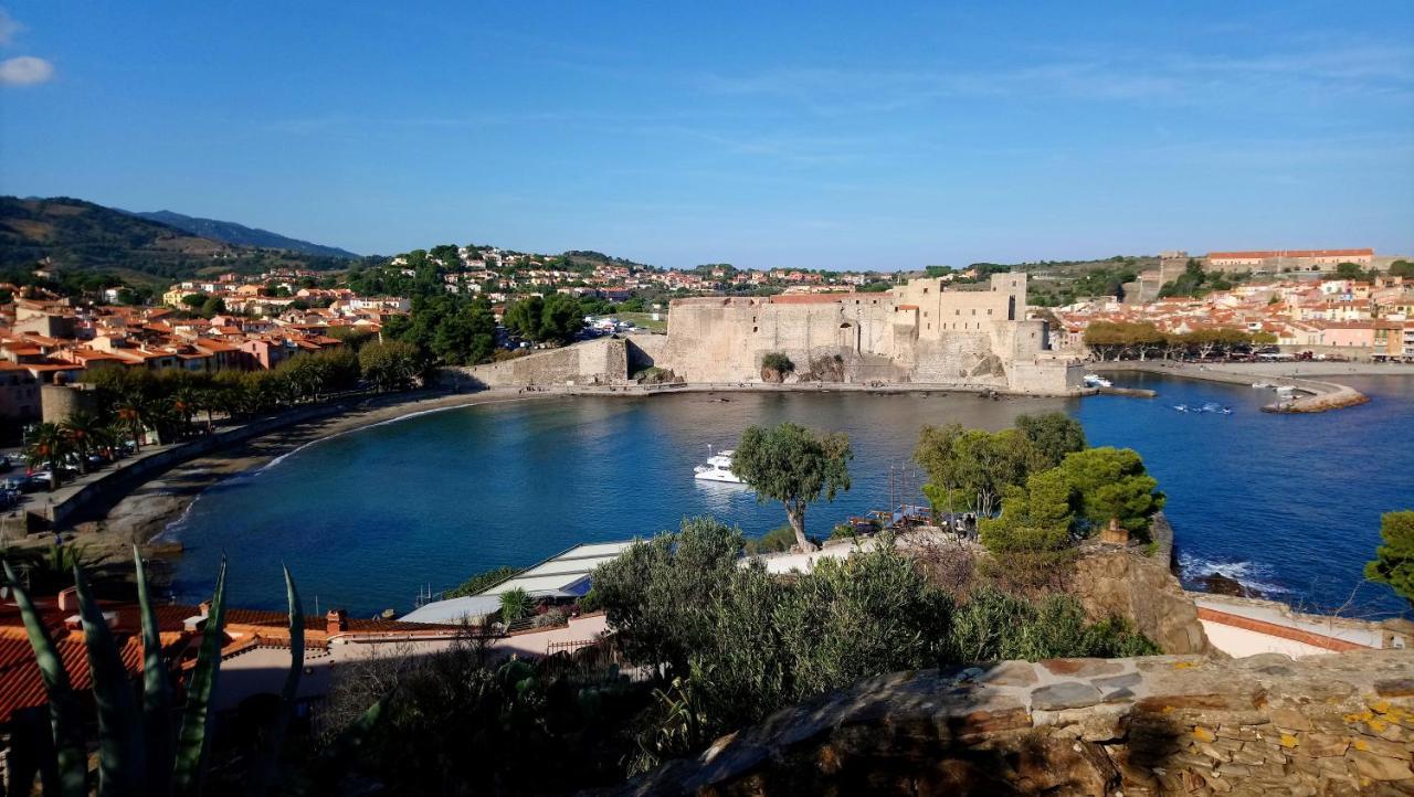 Chambre Privee Climatisee Chez Particulier, Wifi Apartment Perpignan Bagian luar foto